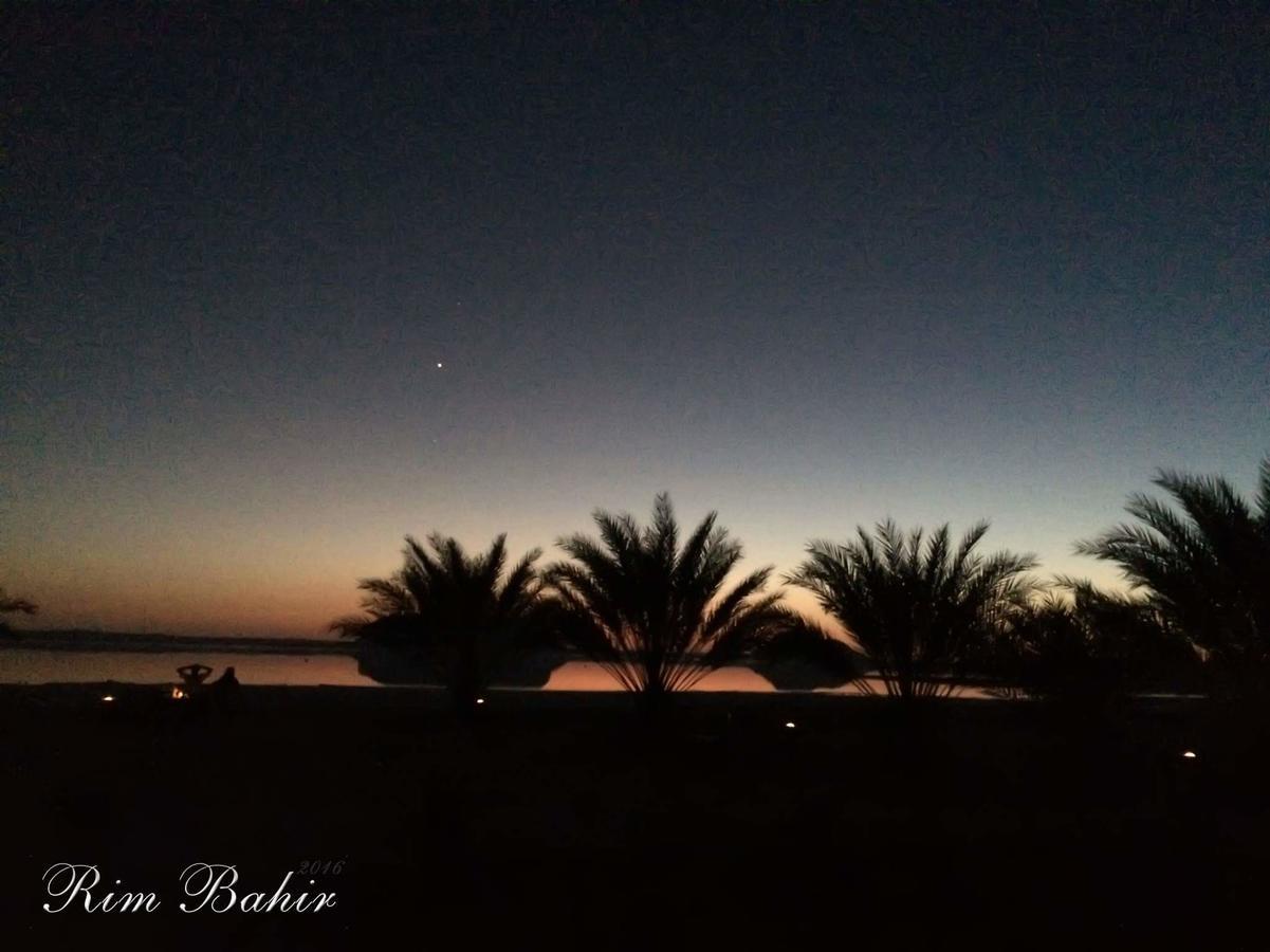 Siwa Relax Retreat Ecolodge (Adults Only) Siwa Oasis Экстерьер фото